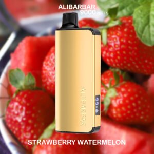 ALIBARBAR INGOT – STRAWBERRY WATERMELON – 9000 PUFFS