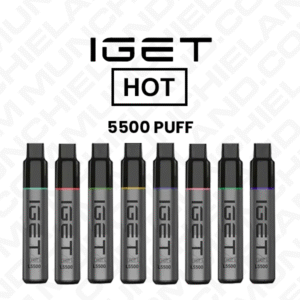 IGET HOT Disposable Vape Wholesale (5500 Puffs)