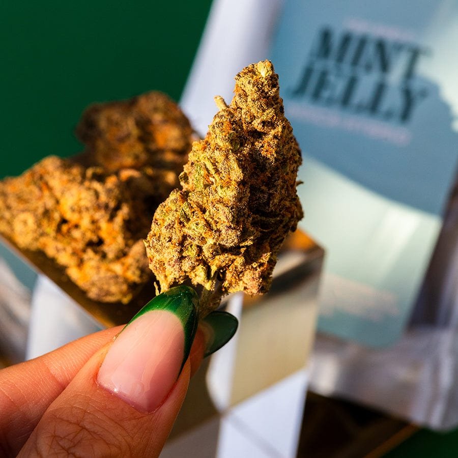 THCA Flower Trio - Image 5