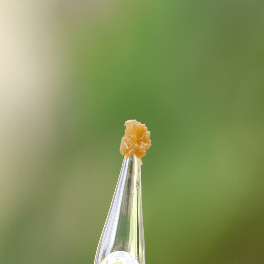 0.5g Live Rosin DabPipe - Image 4