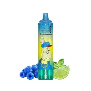 Blue Razz Lemonade – RandM TORNADO & White Rabbit – 15000 puffs